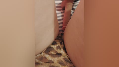 wettigress free recording from 2026-04-14 02:45:00