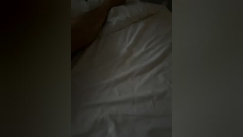 raiad free recording from 2026-04-14 02:21:00