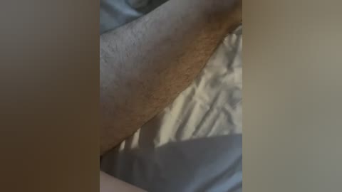 raiad free recording from 2026-04-14 02:21:00