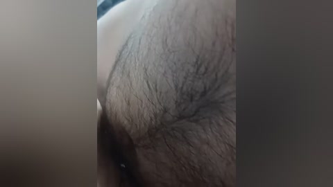 astahichalena free recording from 2026-04-09 01:52:00