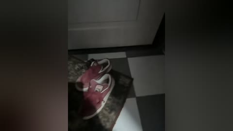 twinxxl free recording from 2026-04-09 13:03:00