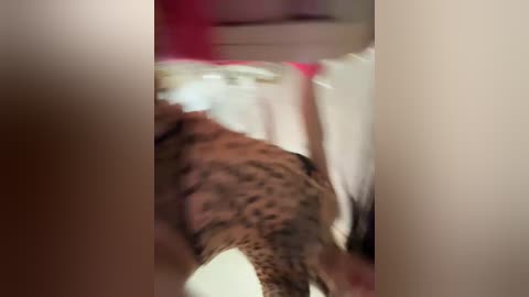 vip17coupledream free recording from 2026-04-09 04:07:00