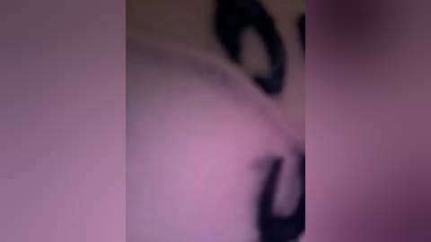 vip17coupledream free recording from 2026-04-09 04:09:00