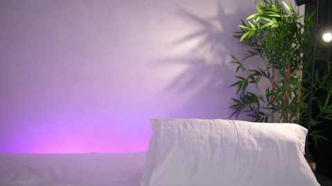 artteasee free recording from 