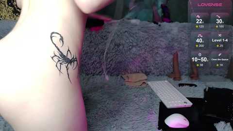 _kitten_meow_ free recording from 2026-04-14 02:42:00