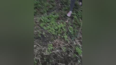 sun_moon free recording from 2026-04-14 02:42:00