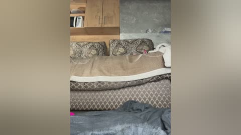 sweetmammy_1 free recording from 2026-04-14 02:45:00