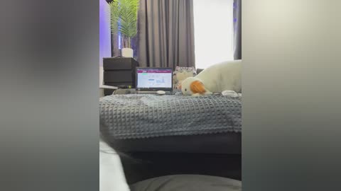 vero19nika free recording from 2026-04-11 09:52:00