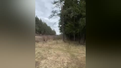 aniram2221 free recording from 2026-04-14 00:31:00