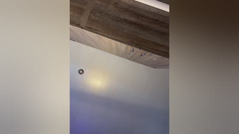 aureliyxxx free recording from 2026-04-14 02:21:00