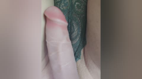 wettigress free recording from 2026-04-12 08:23:00