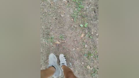 aniram2221 free recording from 2026-04-14 07:06:00