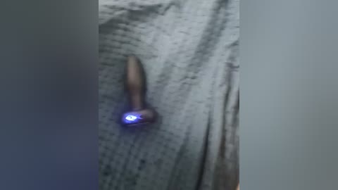 astahichalena free recording from 