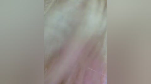 terrirose free recording from 