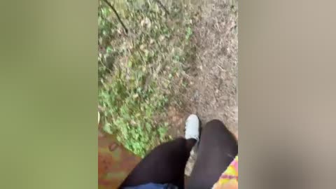 aniram2221 free recording from 2026-04-15 02:30:00