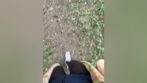 aniram2221 free recording from 2026-04-15 02:30:00