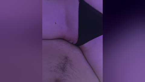 dimax20 free recording from 2026-04-15 02:15:00