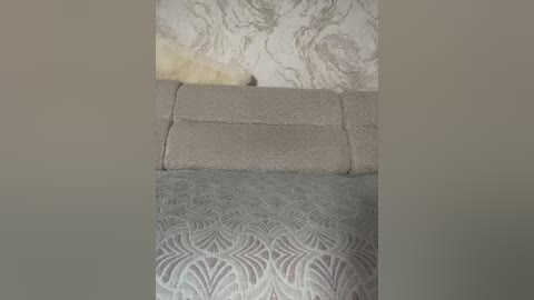 lolafox free recording from 2026-04-17 00:29:00