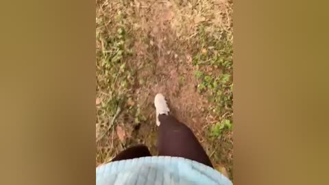 aniram2221 free recording from 2026-04-16 11:56:00