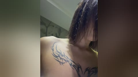 babydarii free recording from 2026-04-17 00:29:00