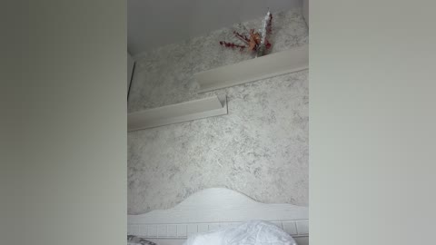 lindseya free recording from 2026-04-17 00:45:00