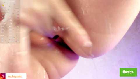 minusvibe free recording from 2026-04-16 13:55:00