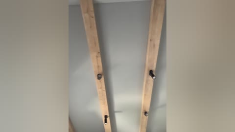 nezukoo free recording from 2026-04-17 03:15:00