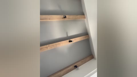 nezukoo free recording from 2026-04-17 00:29:00