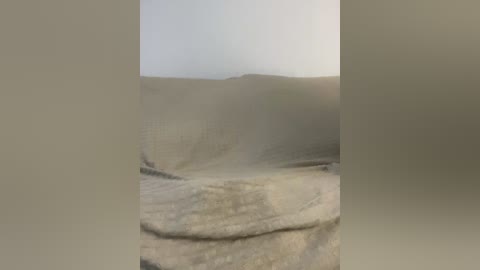 vacilonlime free recording from 2026-04-17 00:29:00