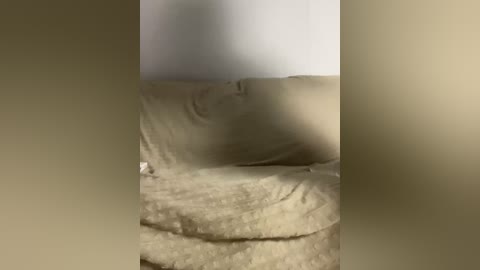 vacilonlime free recording from 2026-04-17 00:29:00