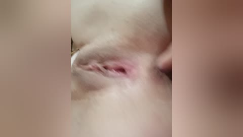 sladkie25 free recording from 2026-04-17 03:15:00