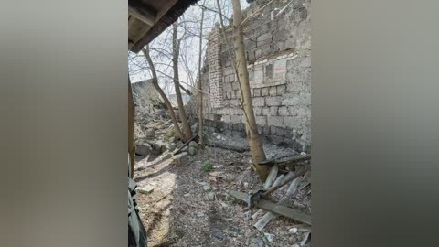 tr1xie free recording from 2026-04-18 00:44:00