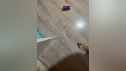 fasss8888 free recording from 2026-04-21 00:24:00