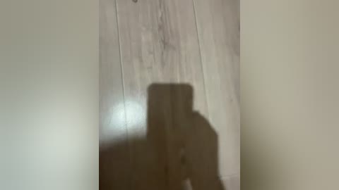 fasss8888 free recording from 2026-04-19 21:27:00