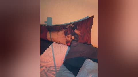 originalhooli free recording from 2026-04-19 00:09:00