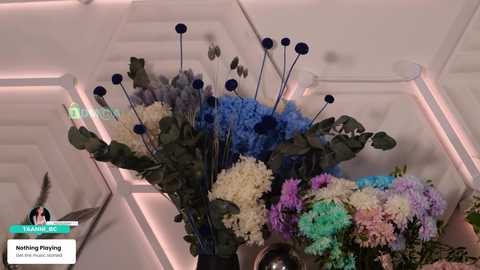 taanni free recording from 2026-04-19 00:36:00