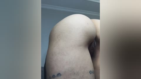 talilia free recording from 2026-04-19 02:45:00