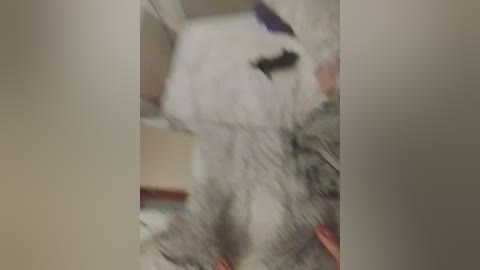 laylay13 free recording from 2026-04-21 00:37:00