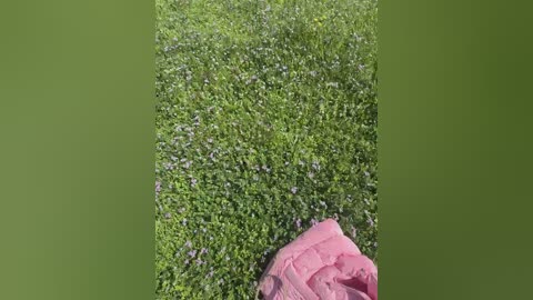 monikayyy free recording from 2026-04-20 00:39:00