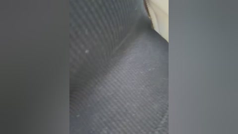 orgazmia free recording from 2026-04-21 00:37:00