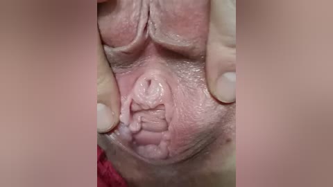 szanet free recording from 2026-04-20 20:41:00