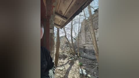 tr1xie free recording from 2026-04-20 08:10:00