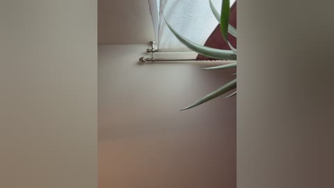 _maybebaby_ free recording from 2026-04-21 00:00:00