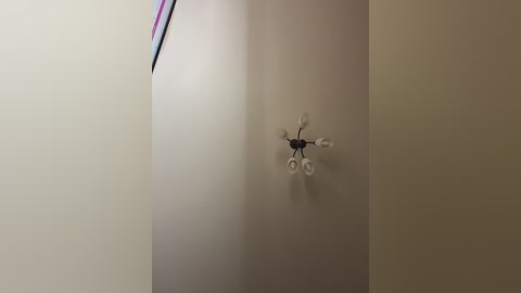 hellmor free recording from 2026-04-21 21:06:00