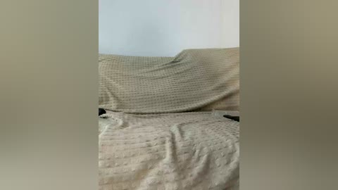 vacilonlime free recording from 2026-04-21 00:37:00