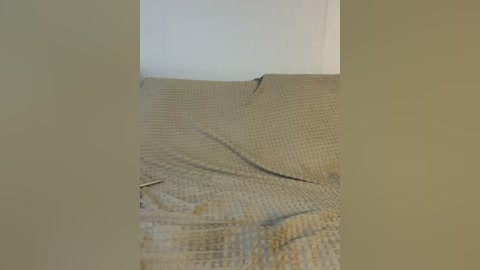 vacilonlime free recording from 2026-04-22 00:32:00