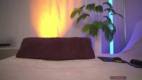 1orgasm1 free recording from 2026-04-23 03:10:00