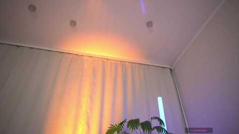 1orgasm1 free recording from 2026-04-23 03:10:00