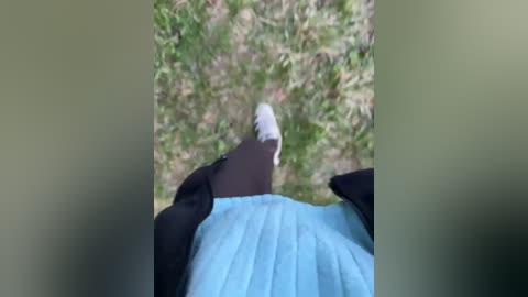 aniram2221 free recording from 2026-04-23 01:08:00