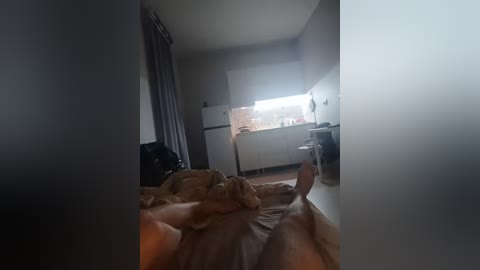 astahichalena free recording from 2026-04-23 01:08:00